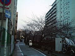 050310_01.jpg