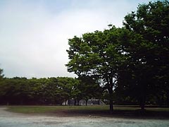 050426_01.jpg