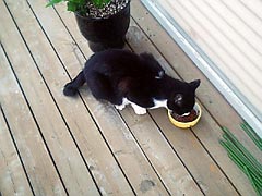050508_01.jpg