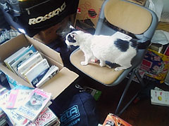 050710_04.jpg