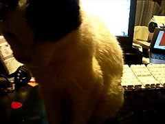 060118_01.jpg