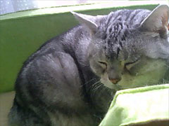 060127_02.jpg