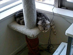 060304_03.jpg