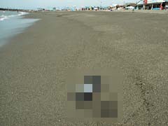 060731_02.jpg