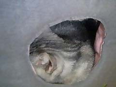060922_04.jpg