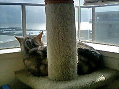 070218_02.jpg