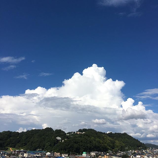 入道雲と蟬時雨。夏だなあ。