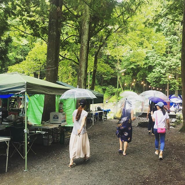 箱根は雨(´･_･`)