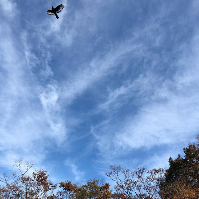 今日の空