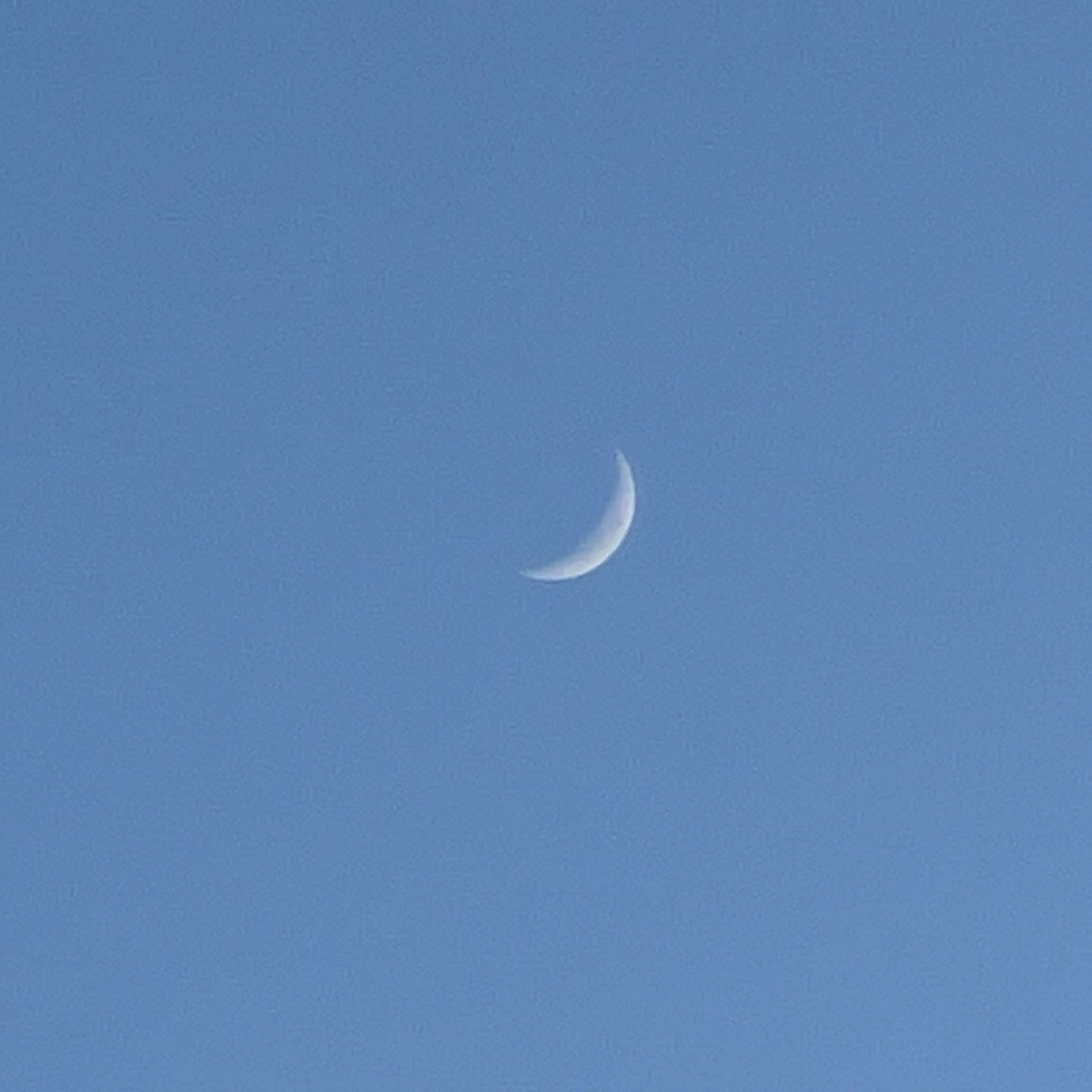 今日の空には四日月