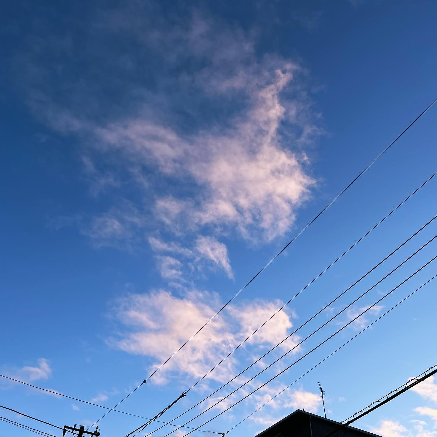 今日の空