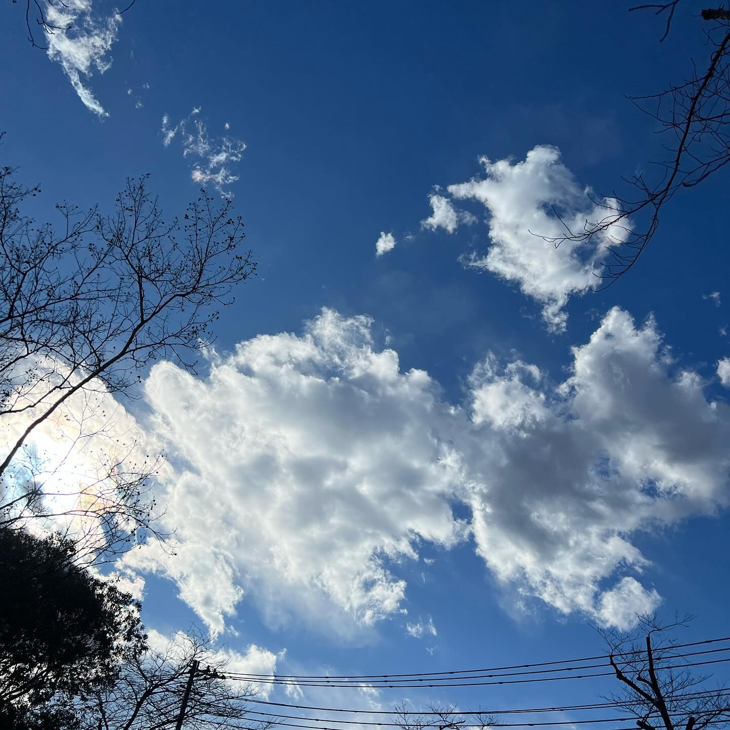 今日の空