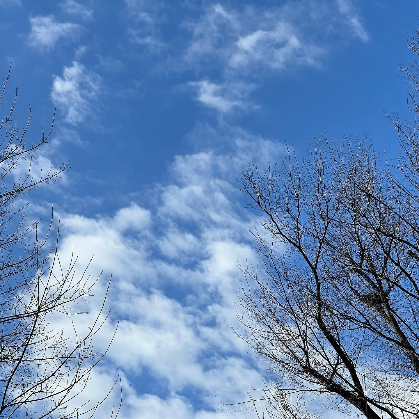 今日の空