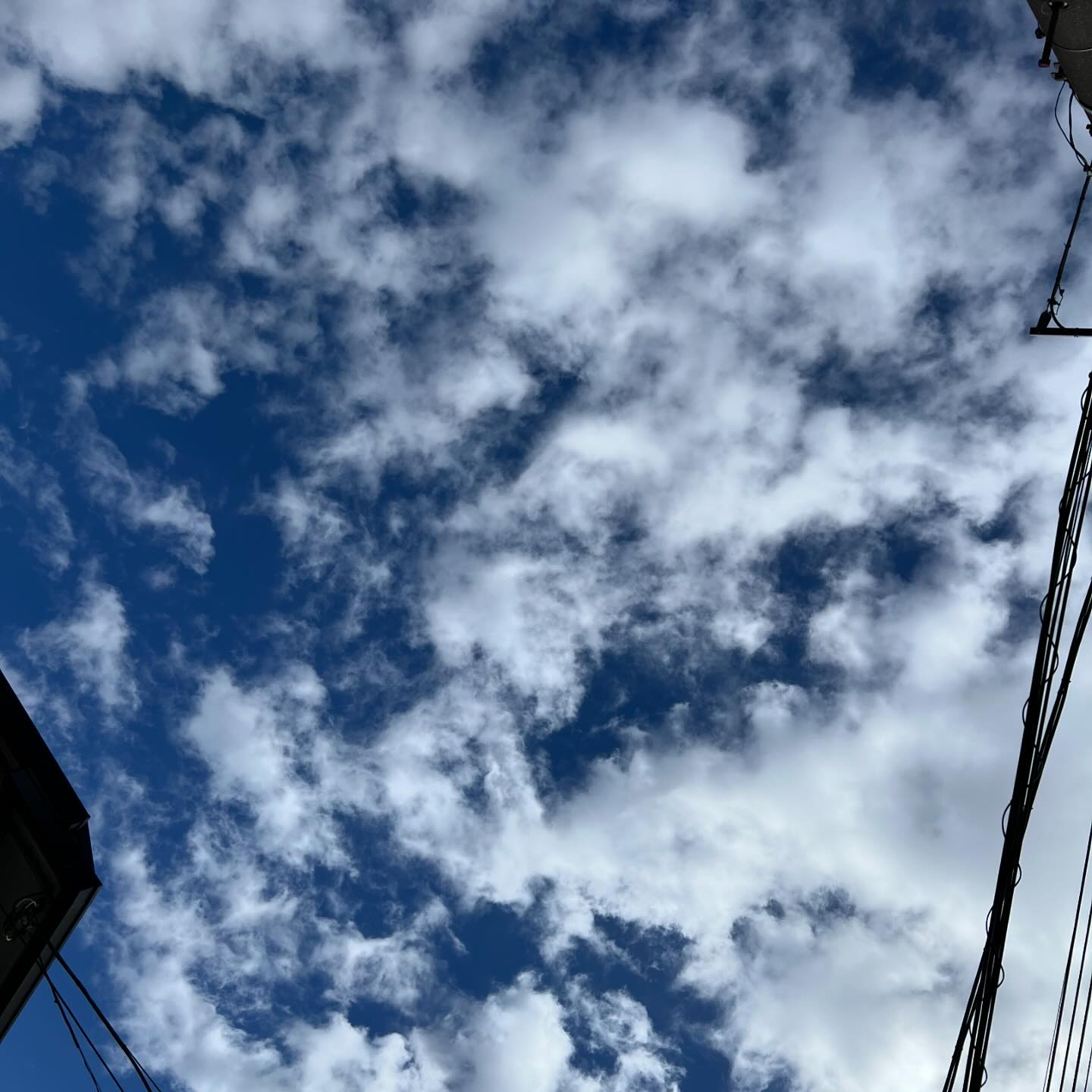 今日の空