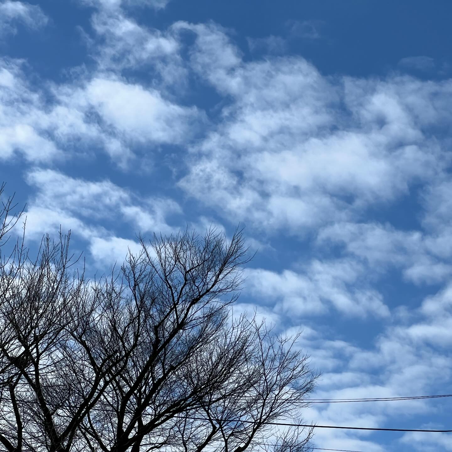 今日の空