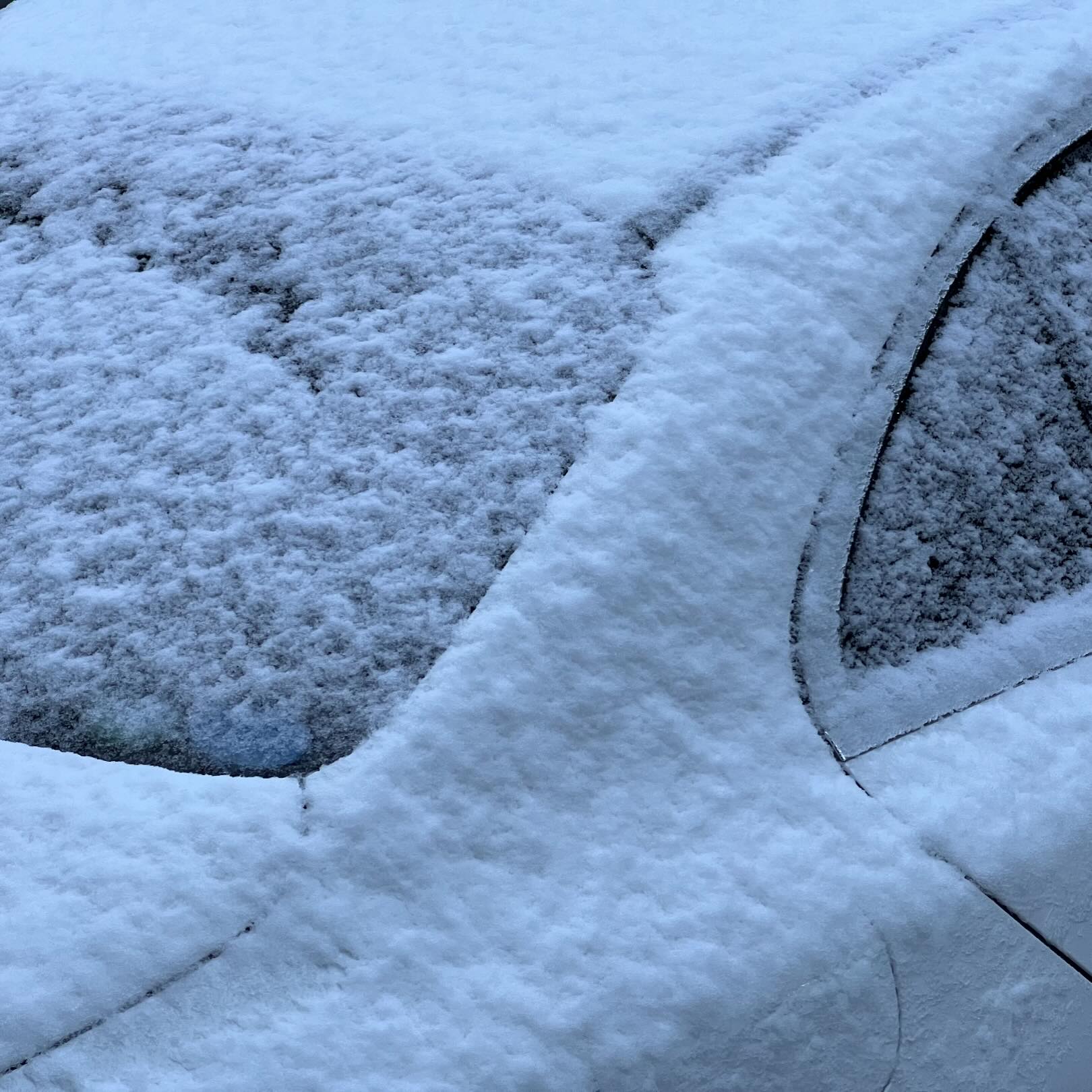 雪でした