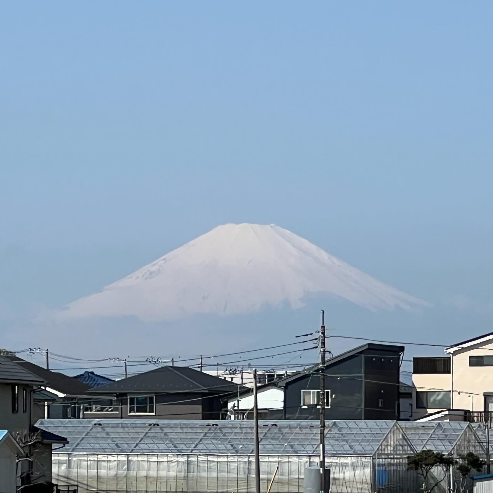 今日の富嶽は春霞