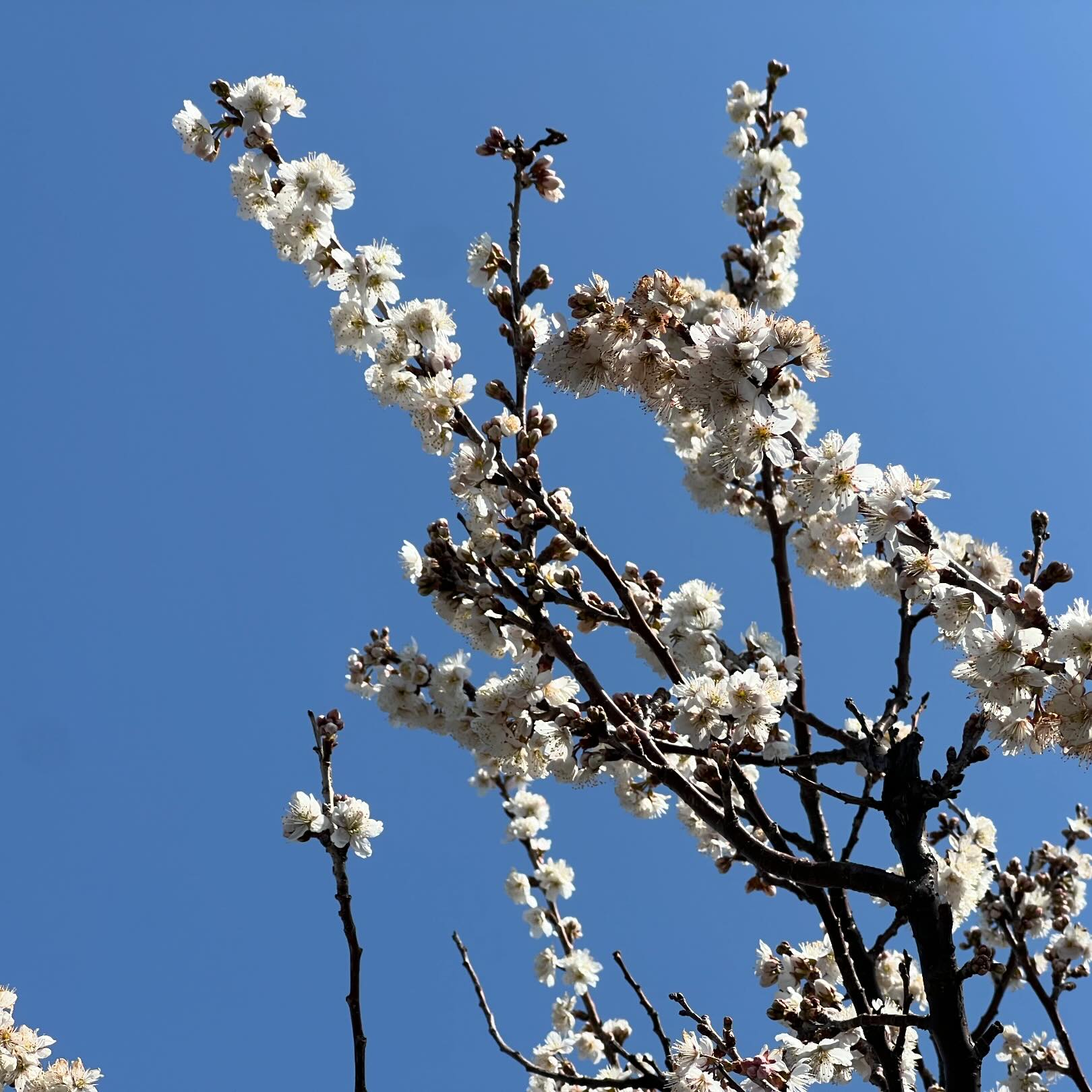 今日の空