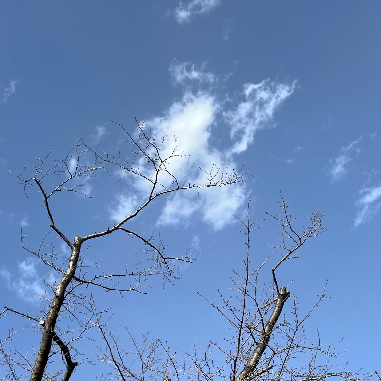 今日の空