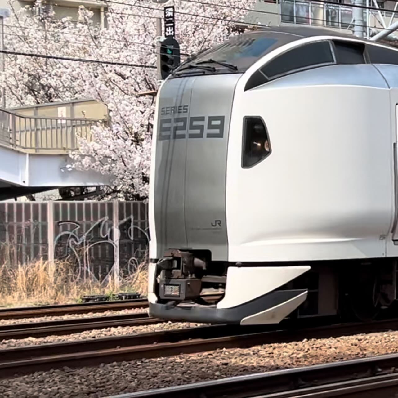 E259と桜