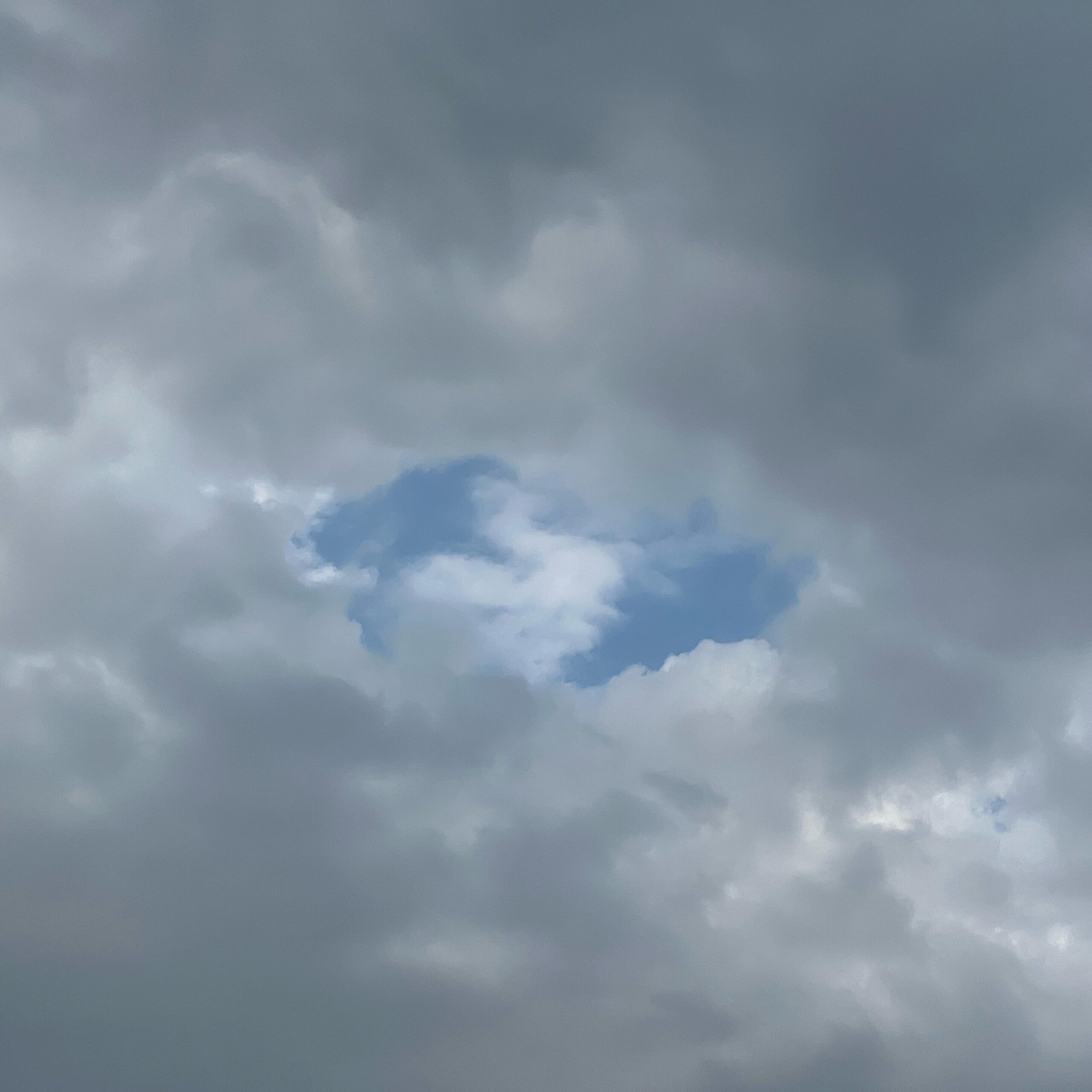 今日の空