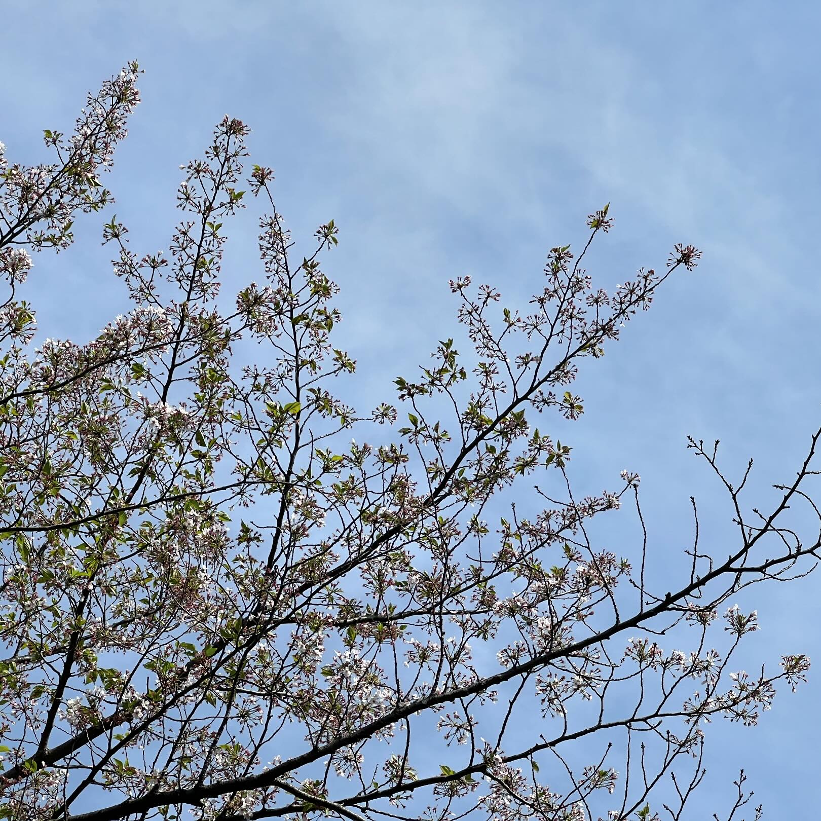 今日の空