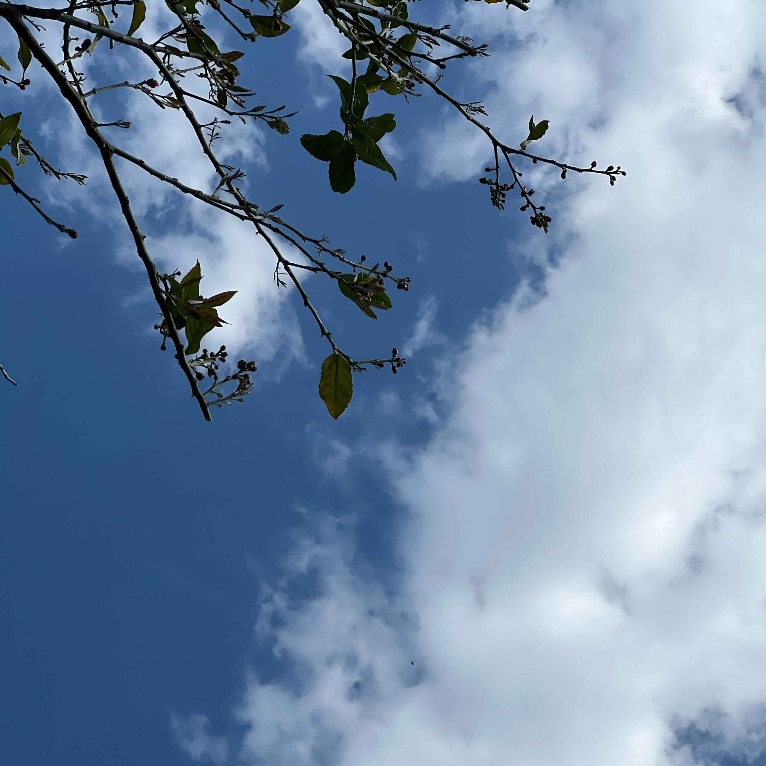 今日の空