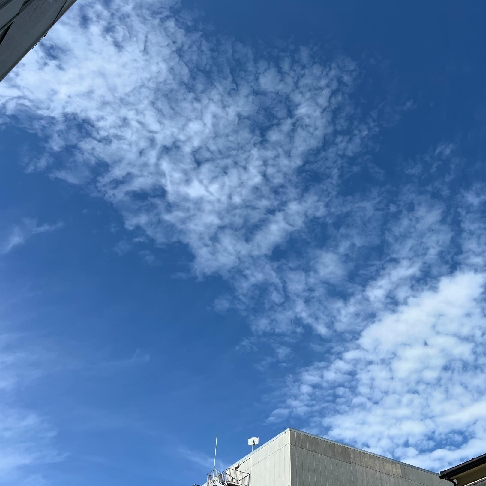 今日の空