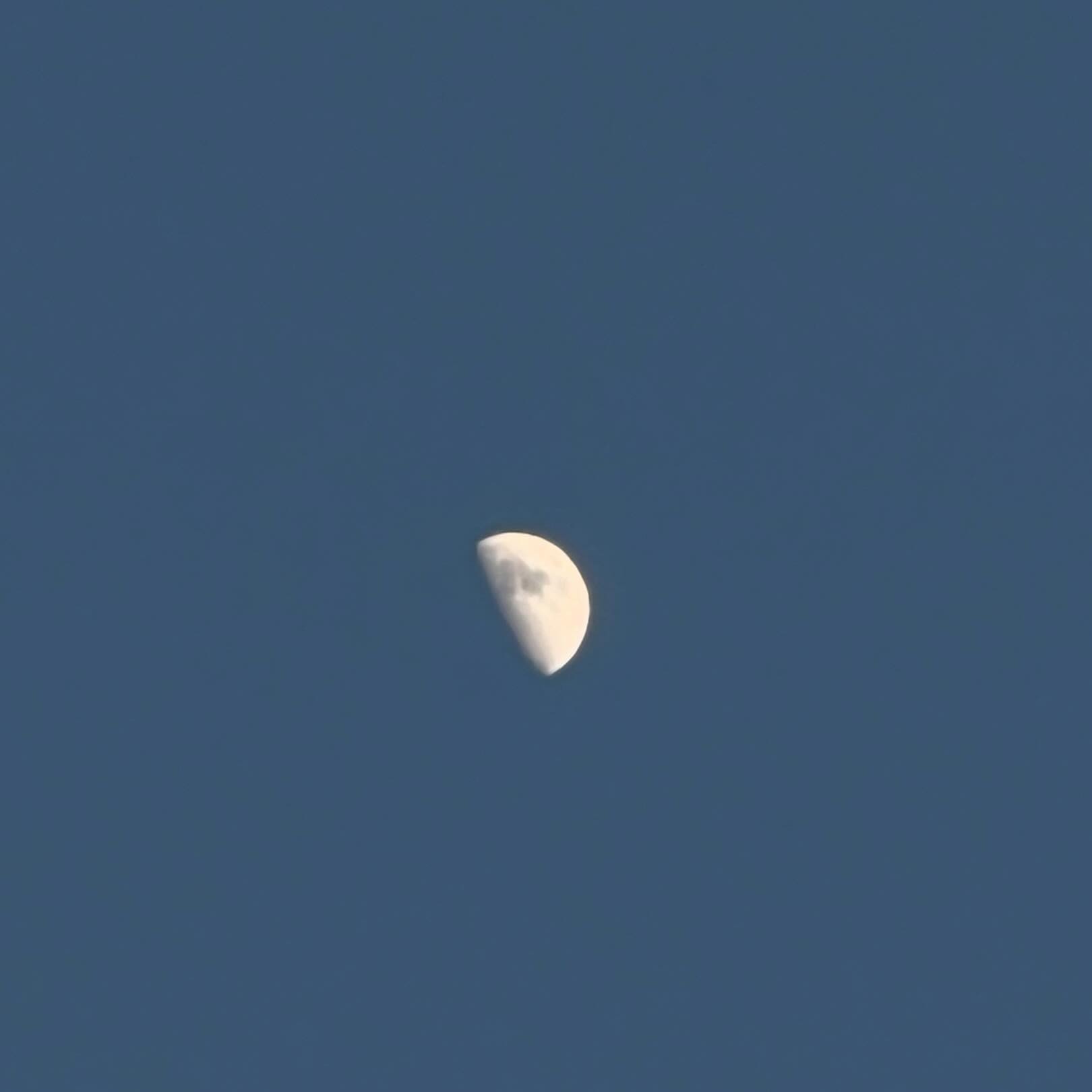 今宵の月