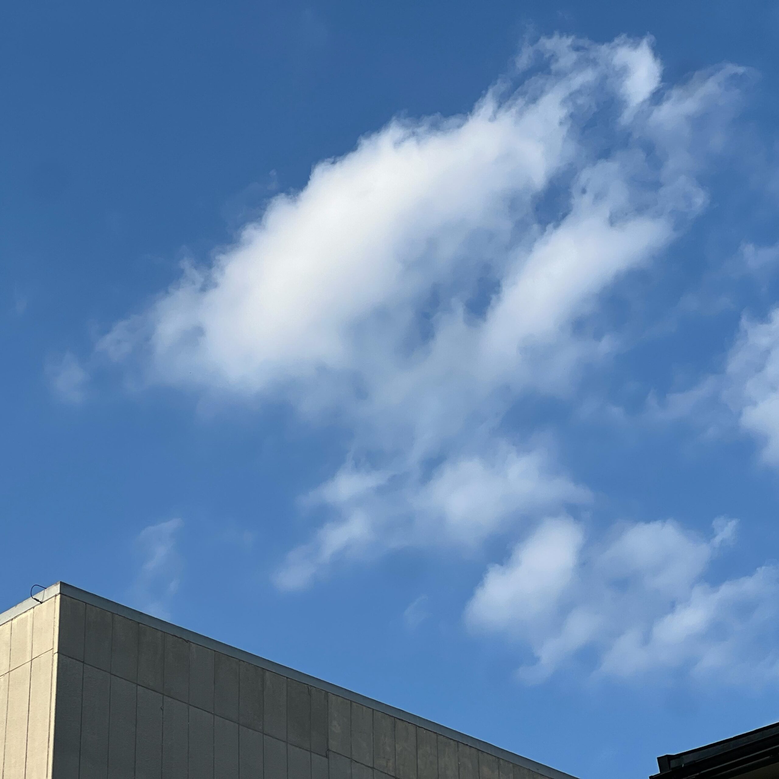 今日の空