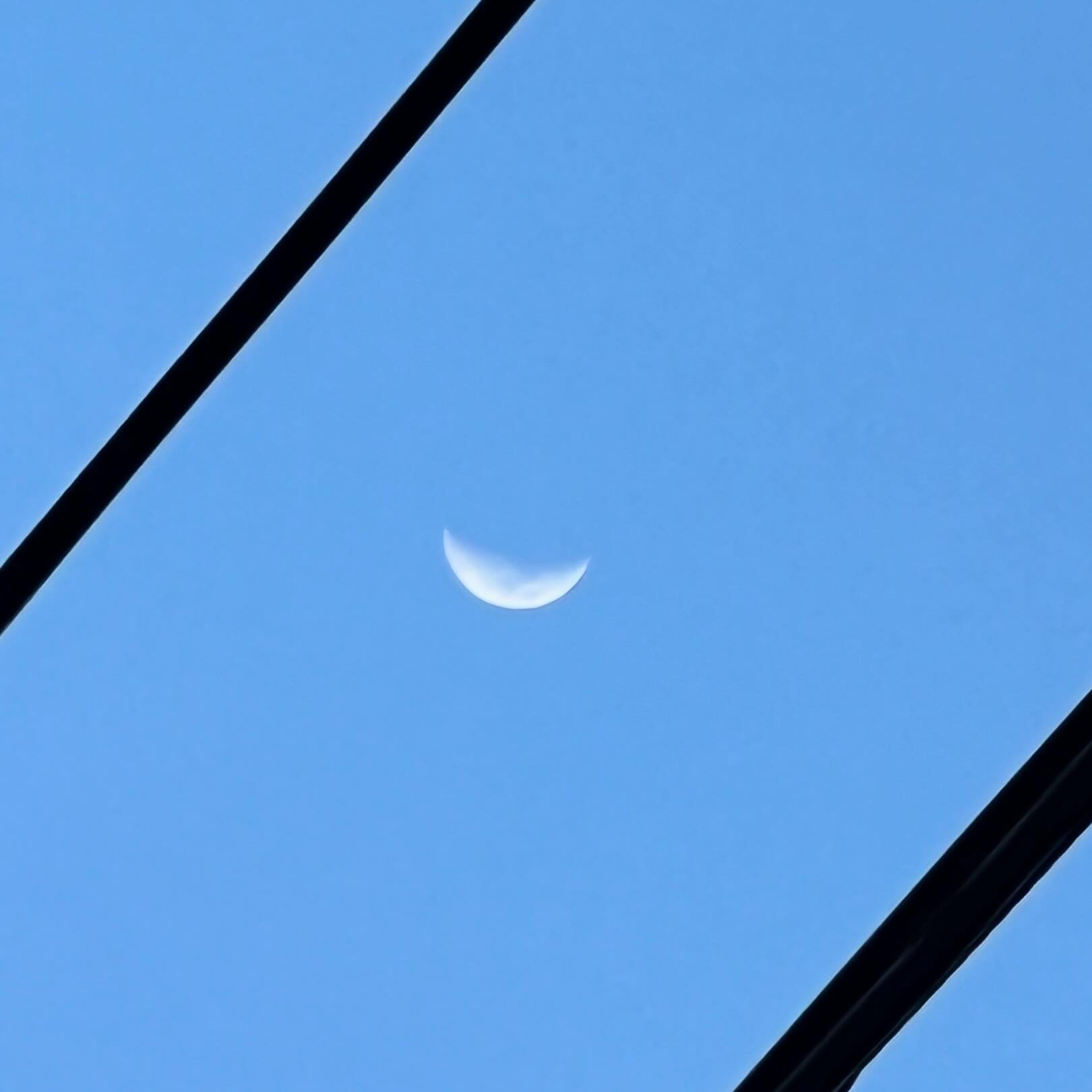今宵の月