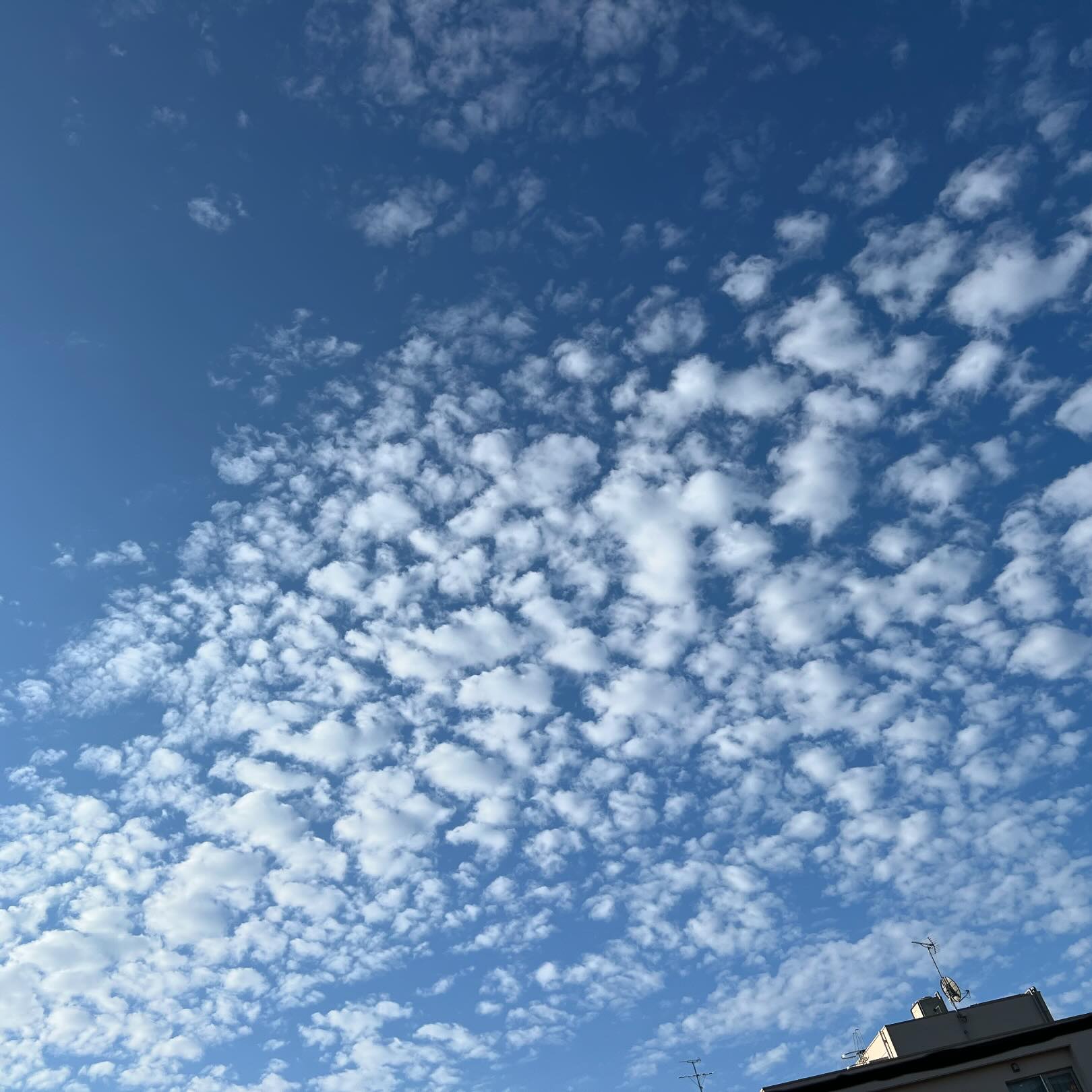 今日の空