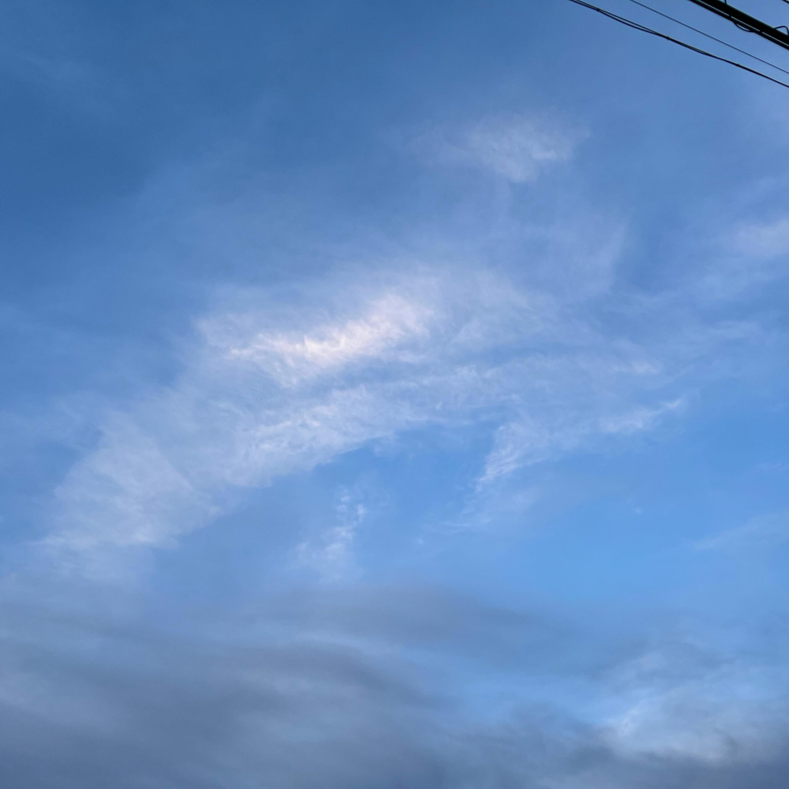 今日の空