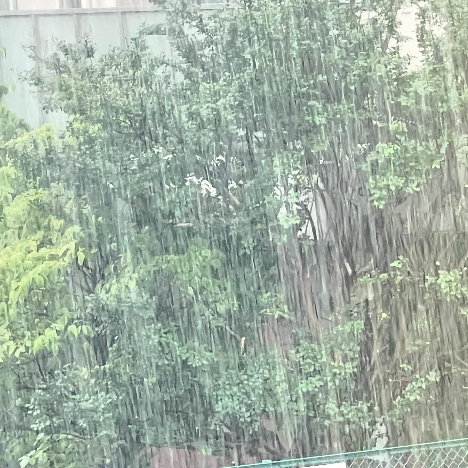 すごい雨だなー