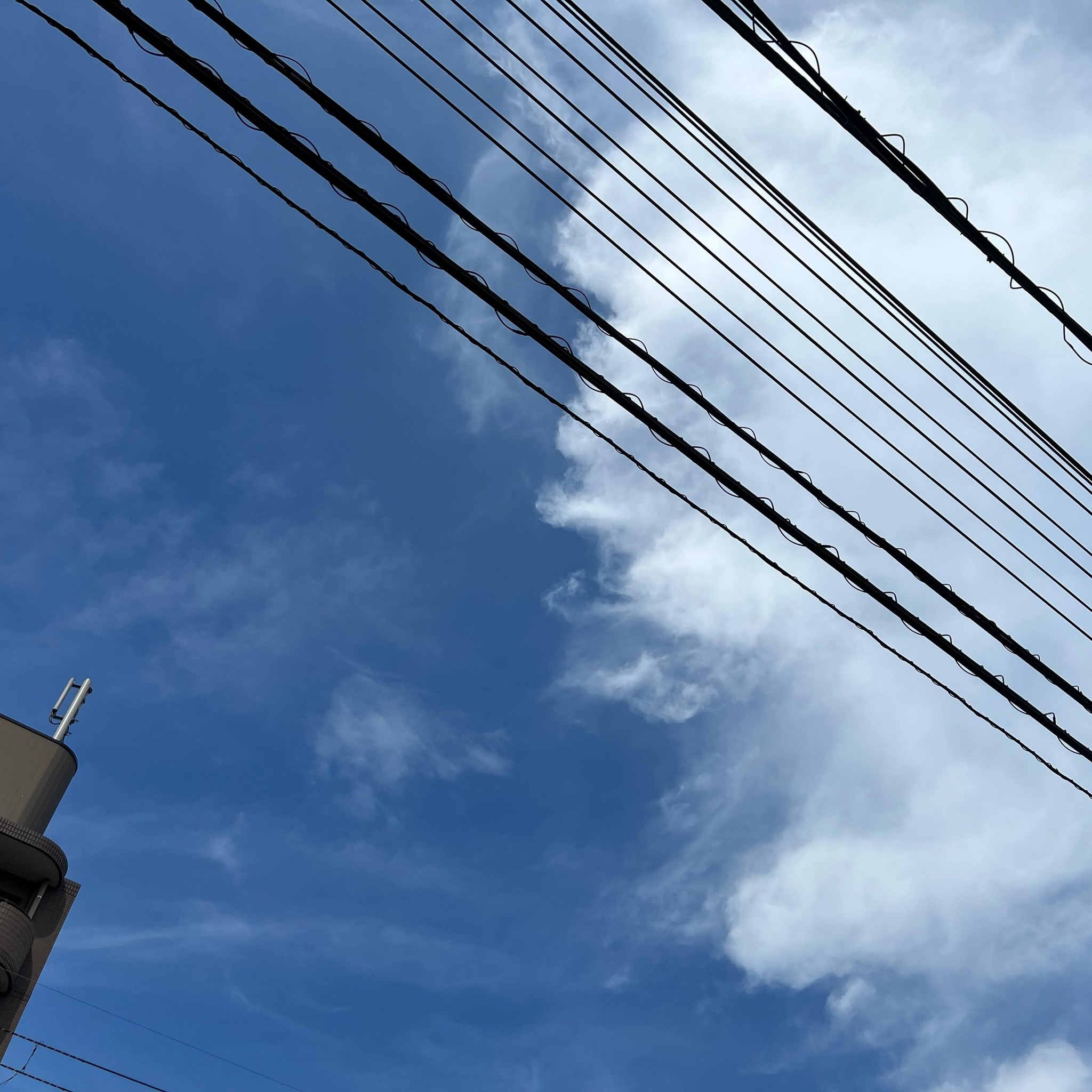 今日の空