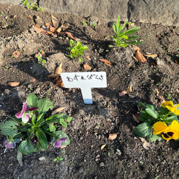 よくわからない(^^;;