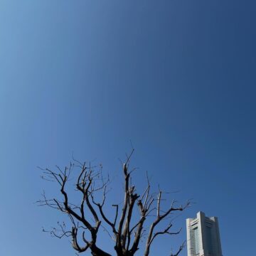 今日の空